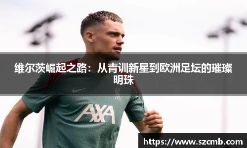 贝博bb艾弗森平台